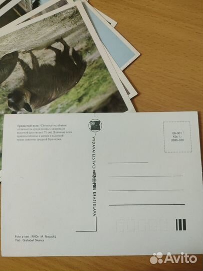 Открытки времен СССР