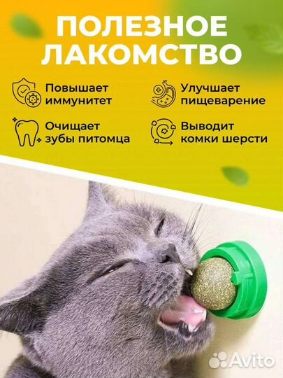 Лакомства для кошек