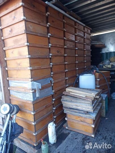 Продам пасеку