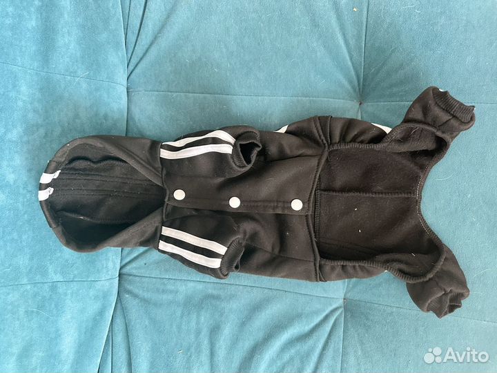 Одежда для маленьких собак
