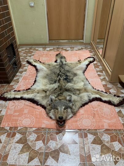 Волчья шкура