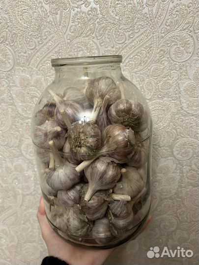 Продам чеснок