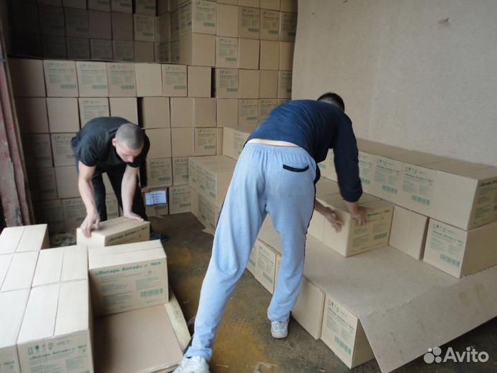 Разнорабочие 24/7