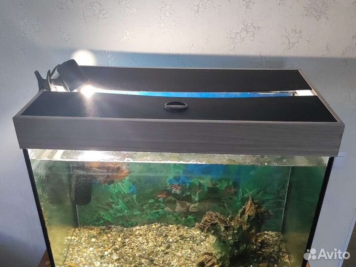 Аквариум