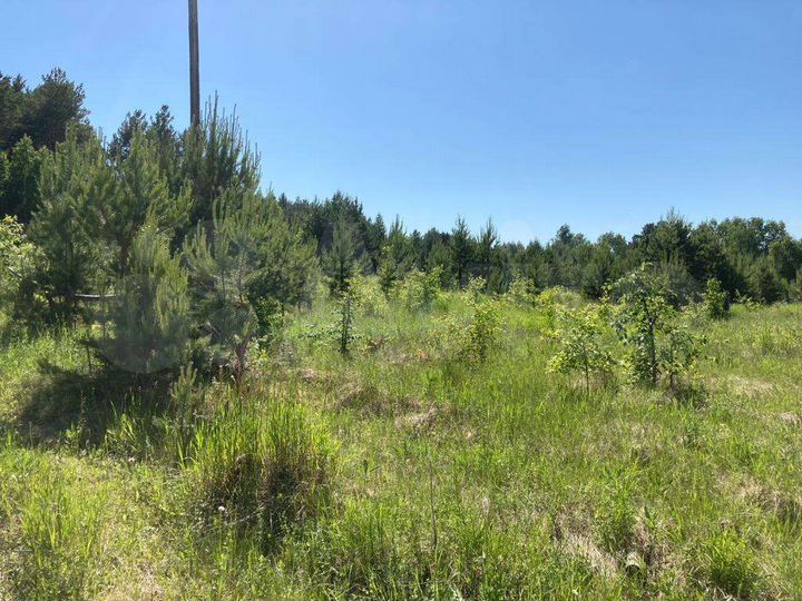 Участок 13 сот. (ИЖС)