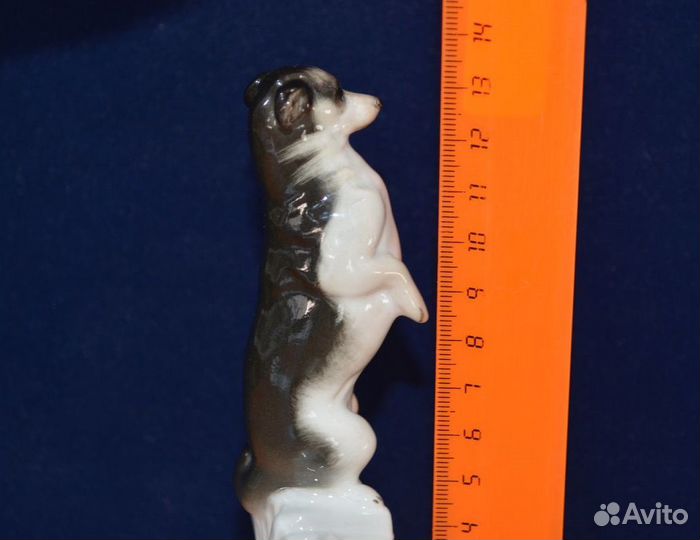 Фарфоровая статуэтка- собачка манюня. лфз. ифз