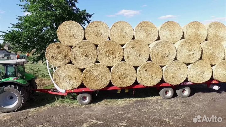 Транспортировщик рулонов Metal-Fach Т-009, 2023