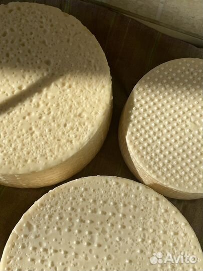 Молоко и молочные продукты