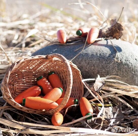 Деревянные игрушки монтессори морковки