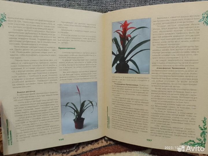 Книга «Энциклопедия Комнатных Растений» 2004