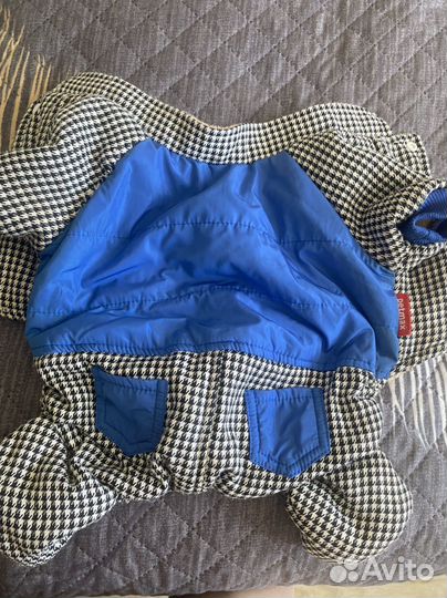 Костюм зимний для собаки мальчика