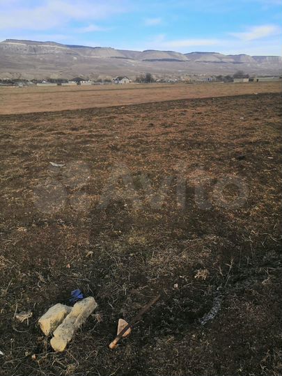 Участок 4 сот. (СНТ, ДНП)