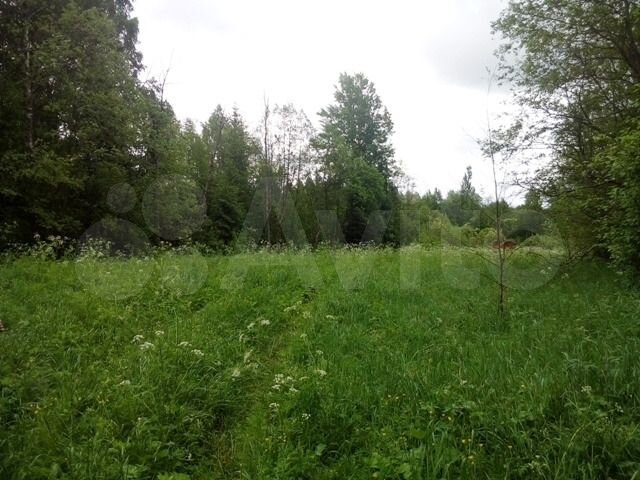 Участок 43 сот. (ИЖС)