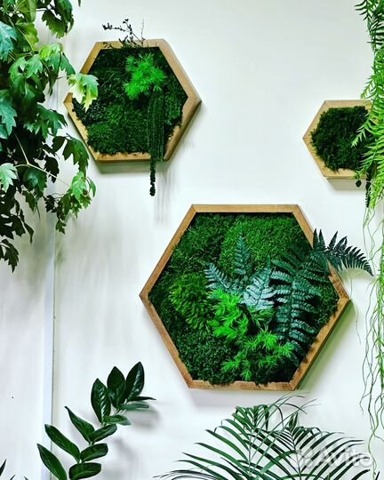 Панно из мха и стабилизированных растений