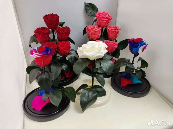 Роза в колбе оптом