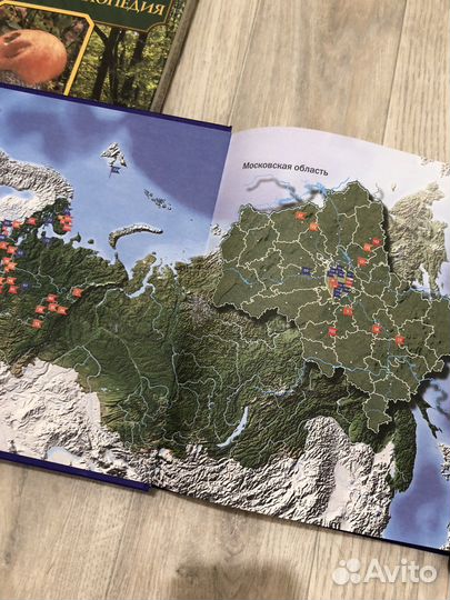 Грибы большая энциклопедия и др книги