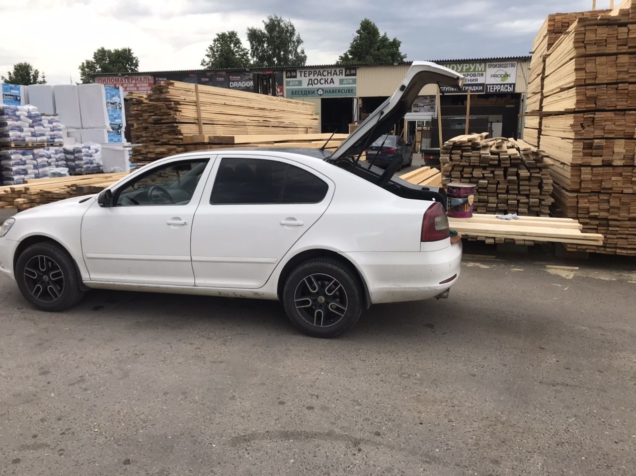 Skoda Octavia: фото владельца