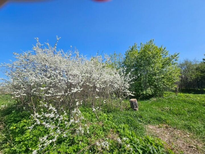 Участок 35,9 сот. (ИЖС)