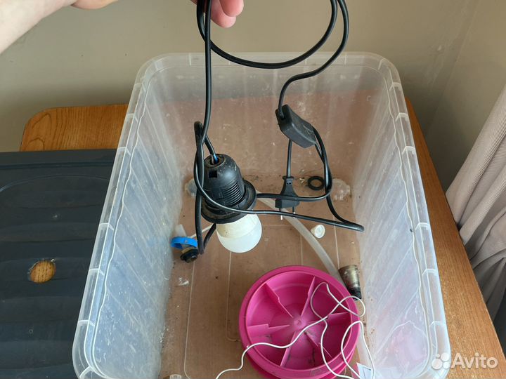 Брудер для цыплят бу