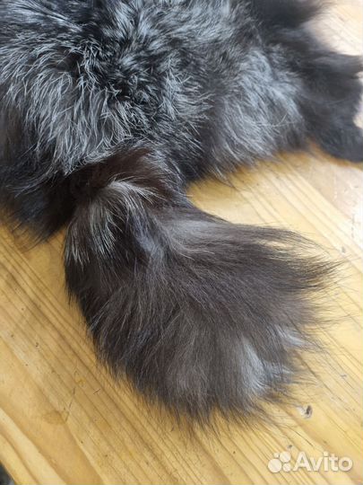 Шкура чернобурки