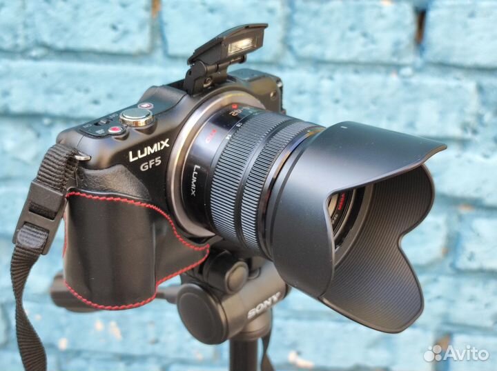 Panasonic Lumix DMC-GF5 Kit