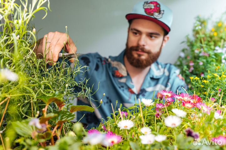 Наставничество в сфере ситифермерства