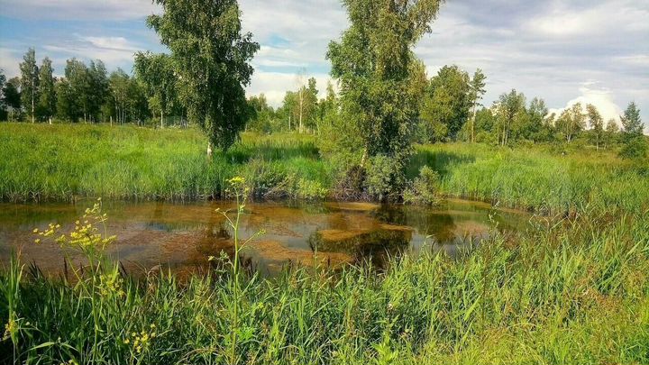 Участок 7,5 га (СНТ, ДНП)