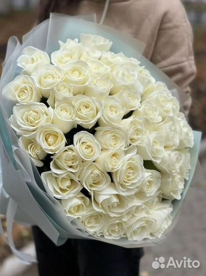 Розы. Букет цветов 51 роза