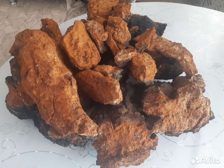 Березовый гриб чага куски