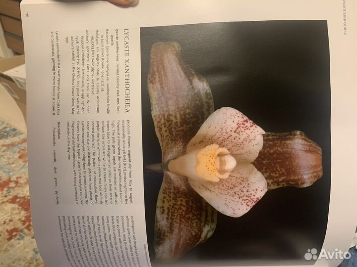 Книга The essential guide