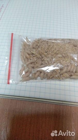 Опарыш, червь. Наживка