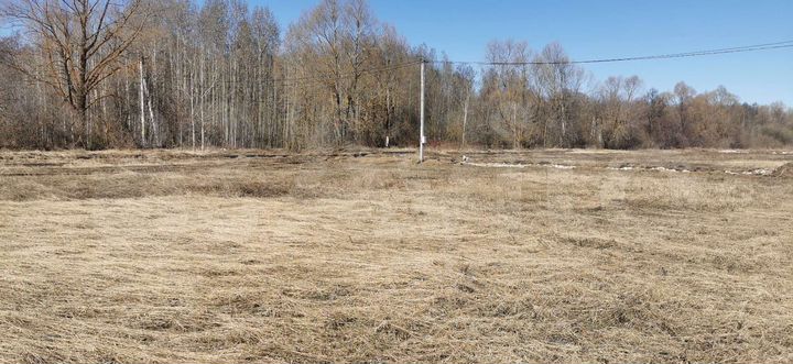 Участок 10 сот. (ИЖС)