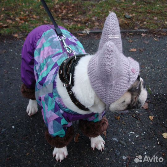 Шапочка с завязками для собак