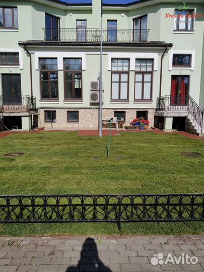 Рулонный газон Теневыносливый