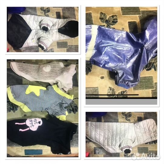 Одежда для маленьких собак