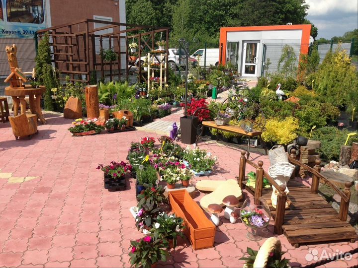 Растения хвойные, лиственные, плодовые, цветы