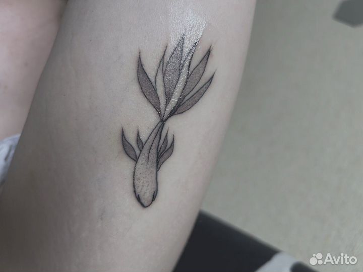 Тату за расходники