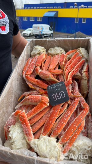 Рыба и морепродукты