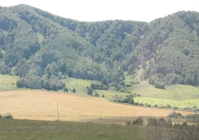 Участок 11,8 га (СНТ, ДНП)