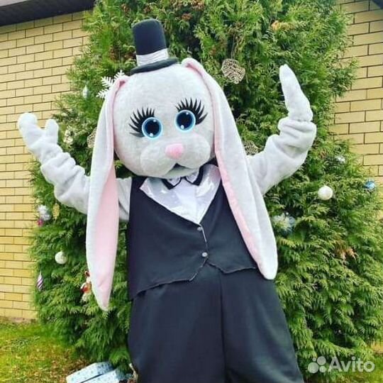 Зайка Космос поздравит вас с любым событием