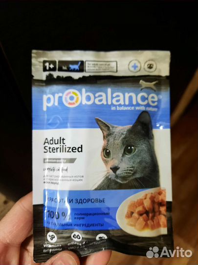 Влажный корм для кошек