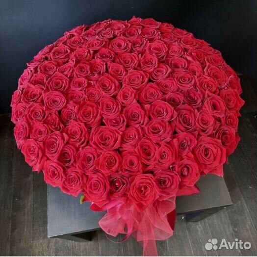 101 роза 51 роза 55 85 45 35 25 Букет Доставка