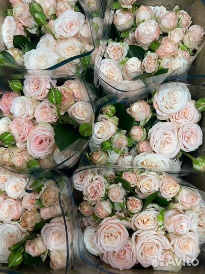 Цветы оптом в ваш город