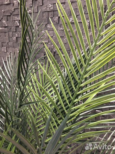 Искусственная зелень Финиковая Пальма, 160 см