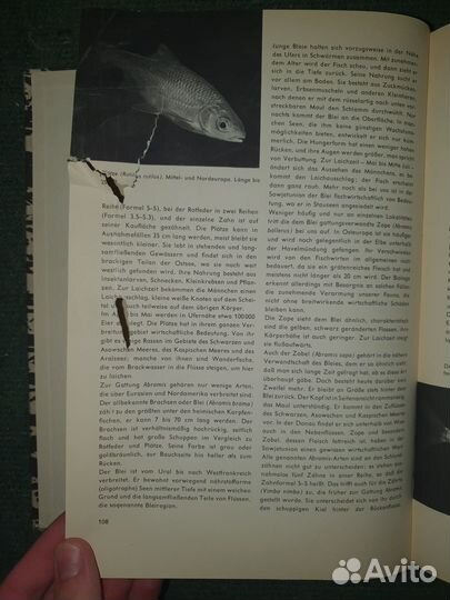 Urania Tierreich. Fische.Lurche.Kriechtiere