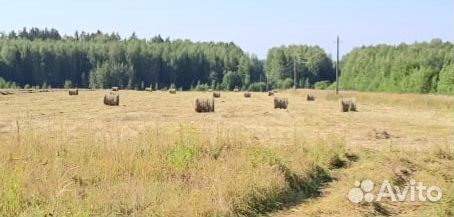 Сено в рулонах 2023