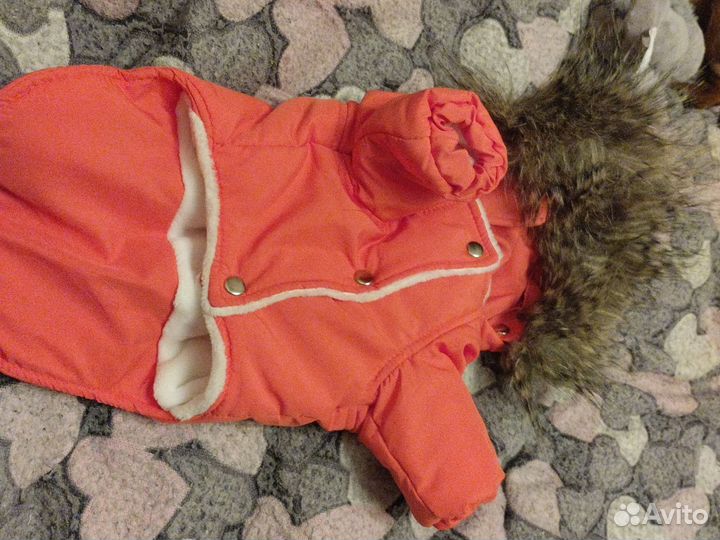Куртка для собак мелких пород зимняя