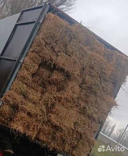 Сено в тюках