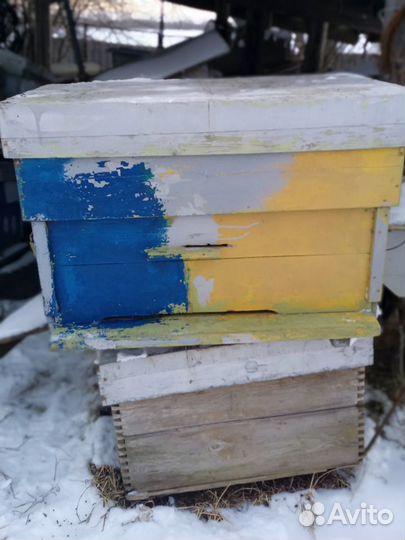 Продам ульи для пчел