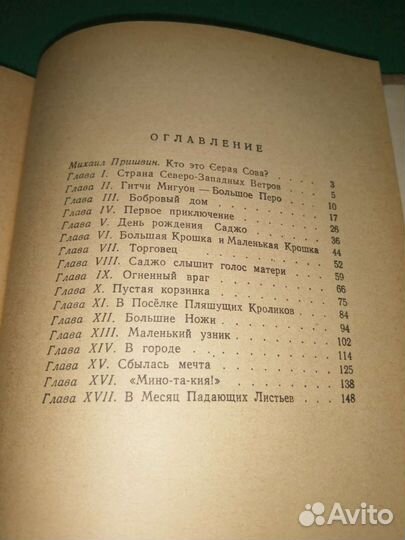 Серая Сова Саджо и её бобры рис. автора 1958г